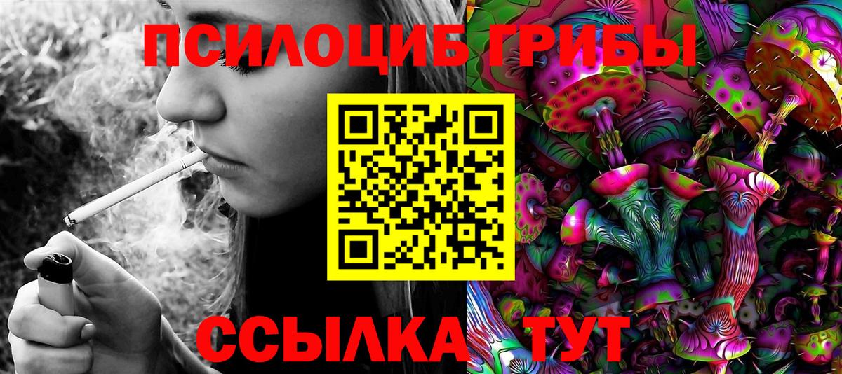 Псилоцибиновые грибы Psilocybine cubensis  Псилоцибиновые грибы прущие грибы  Вход с VPN  Губкин 