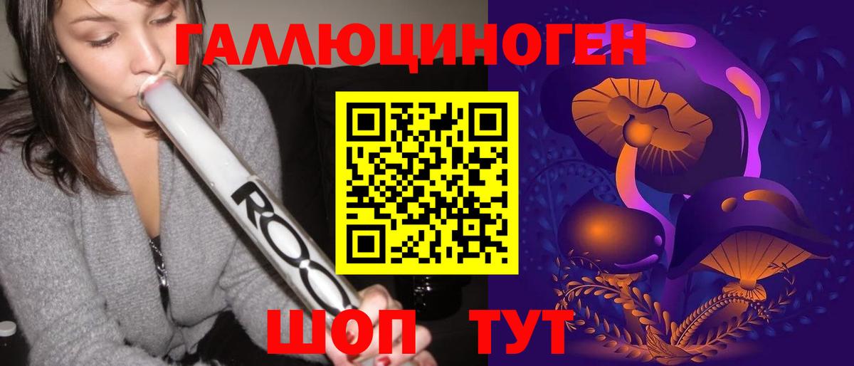 Галлюциногенные грибы Psilocybe Губкин